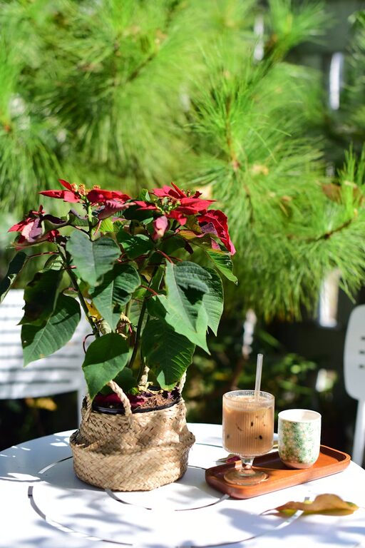 Refresh Your Routine: Ideas for Peaceful Weekend Mornings